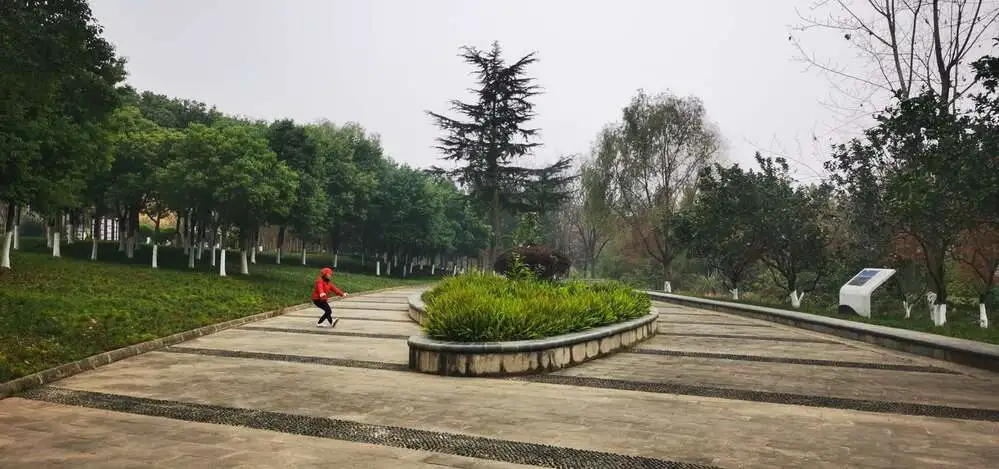 资阳：筑牢长江上游生态屏障 让一江清水永续东流「相关图片」