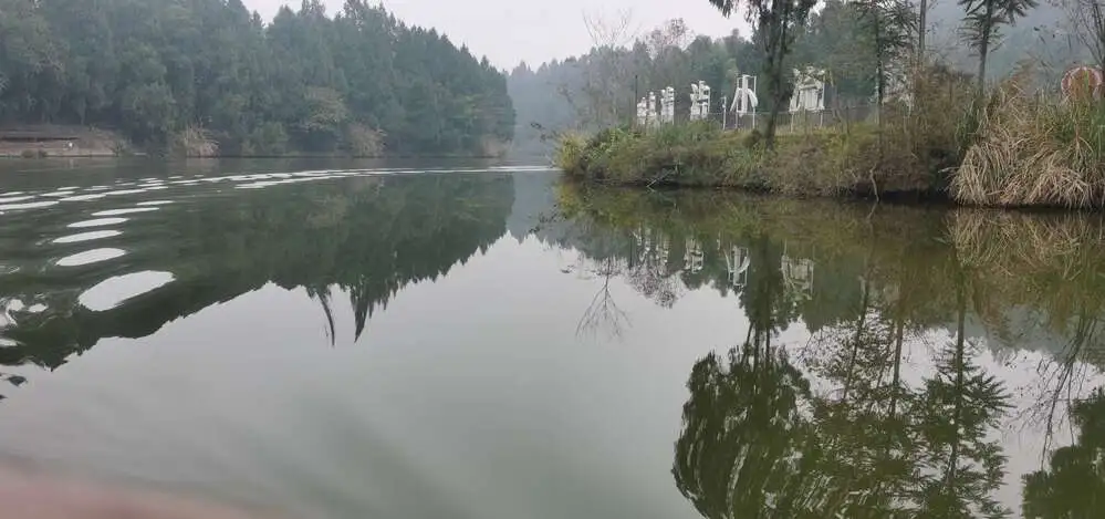 资阳：筑牢长江上游生态屏障 让一江清水永续东流「相关图片」