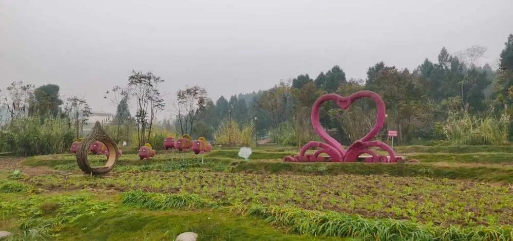 资阳：筑牢长江上游生态屏障 让一江清水永续东流「相关图片」