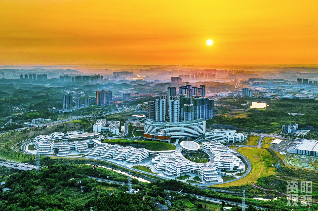 1745333422757339.jpg 1d7d89f0a3e9e6a8f55f70b2dab01fb.jpg