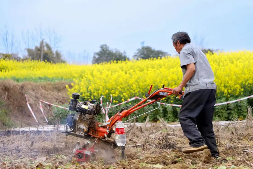 undefined 微信图片_20260318165449_118_3.jpg